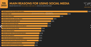 Sistering SIA SOCIĀLO MEDIJU AINA LATVIJĀ 2025